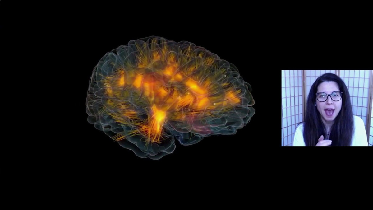 Your Brain Goes to the Movies - Apple TV