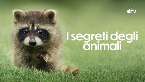 I segreti degli animali
