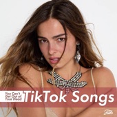 Cover art for TikTok
