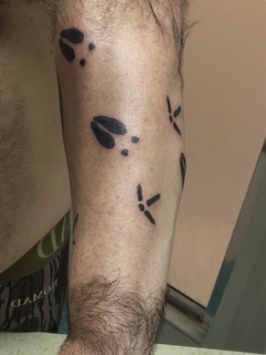 Best Tattoos Collective tattoo studio in Forest City