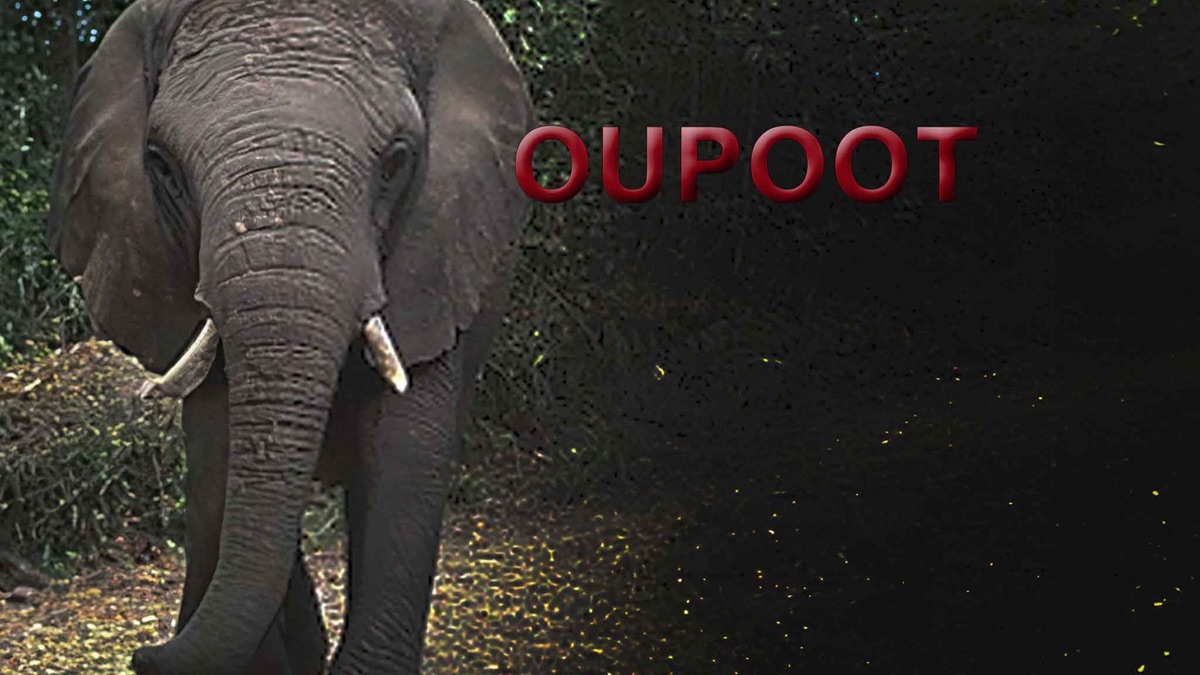 ‎Oupoot - Apple TV