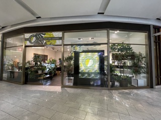 The Potting Bench Plant Studio in Chicago, IL United States - Apple Maps