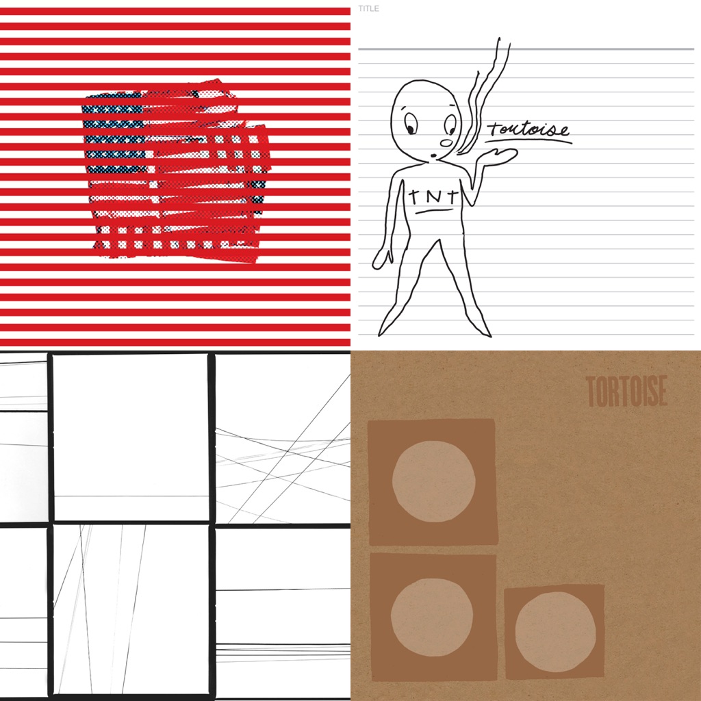 Tortoise: Next Steps