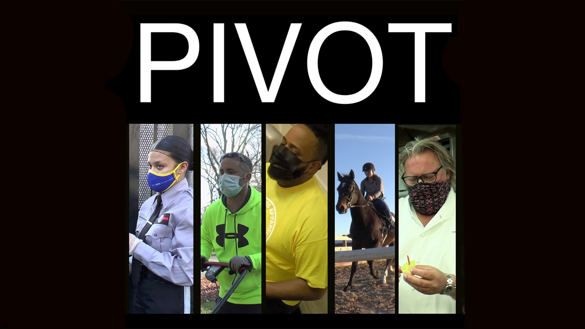 ‎Pivot - Apple TV
