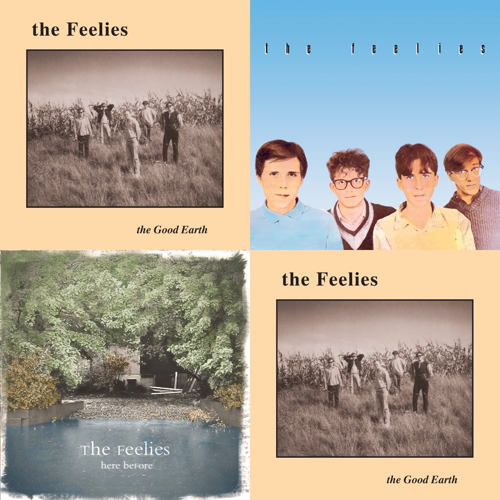 The Feelies Essentials