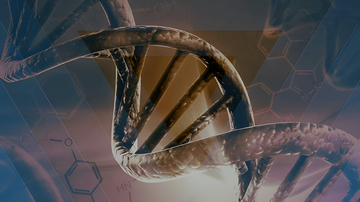 ‎Missing Links of Human Evolution – Missing Links (Season 1, Episode 8 ...