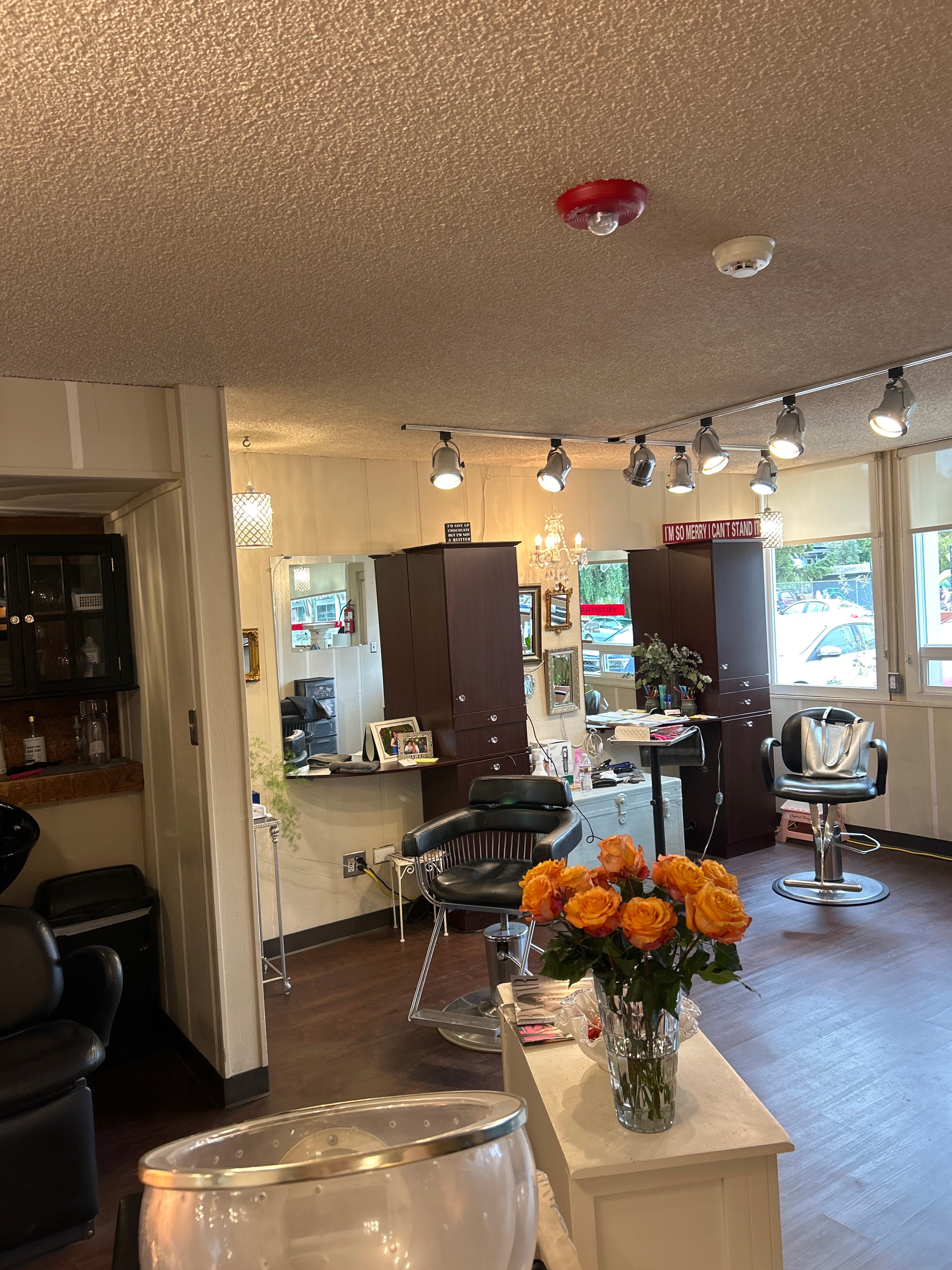 Special Effects-Contemporary Hair Artistry 