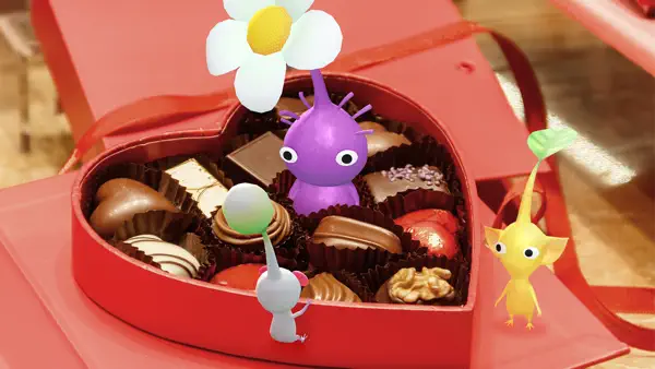 A Sweet Season Begins!