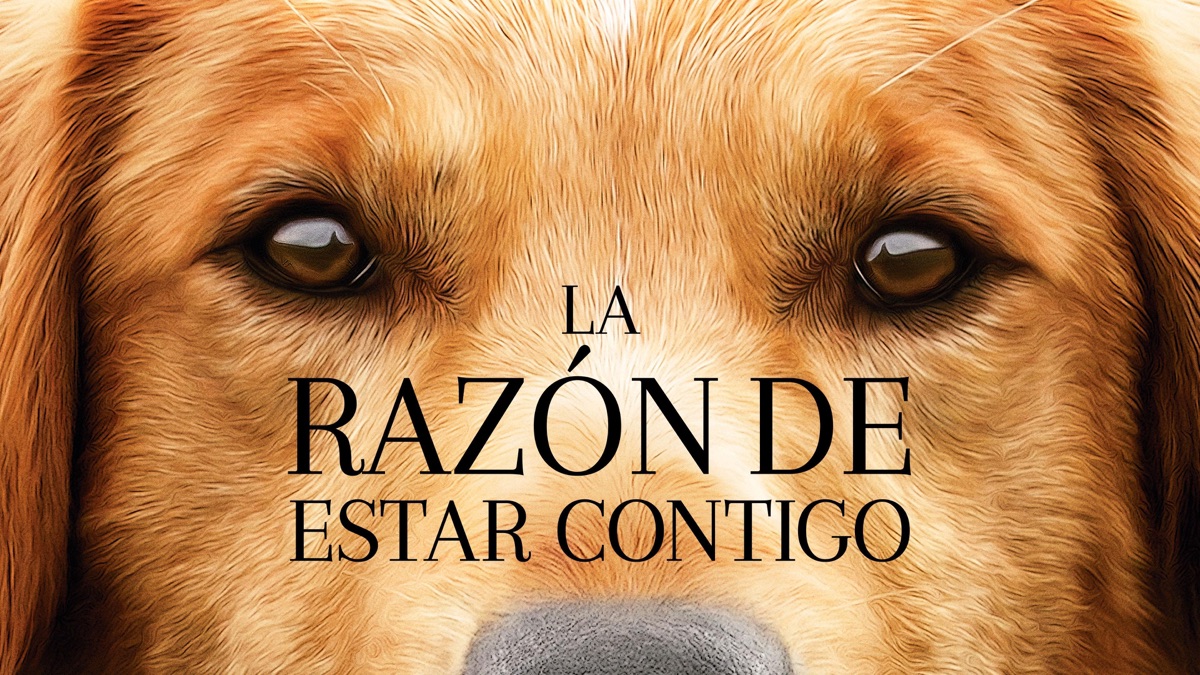 ‎La razón de estar contigo - Apple TV