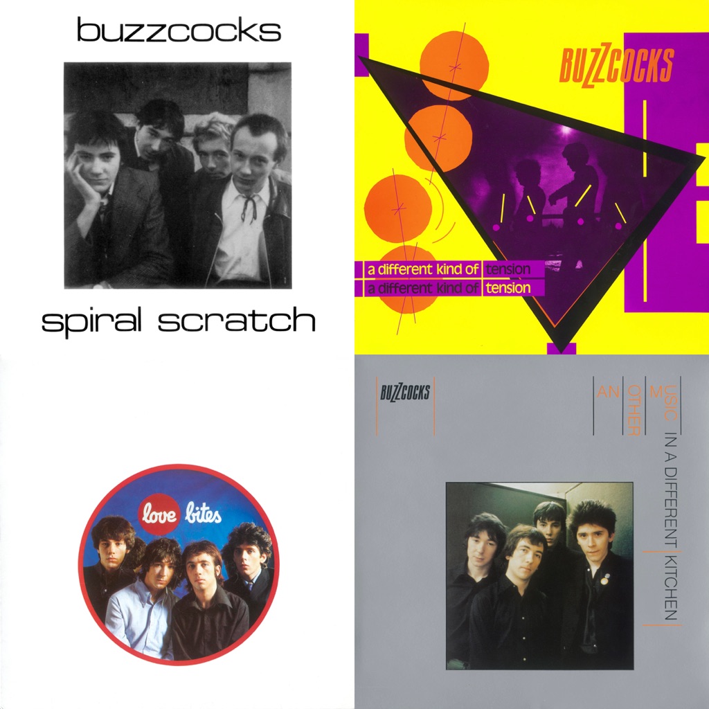 Buzzcocks: Next Steps