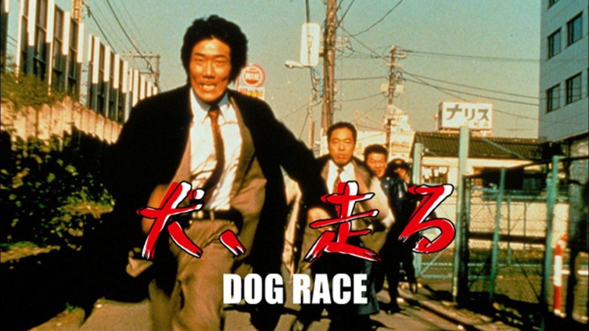犬 走る Dog Race Apple Tv 犬 走る Dog Race Apple Tv