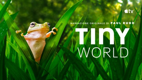 Tiny World