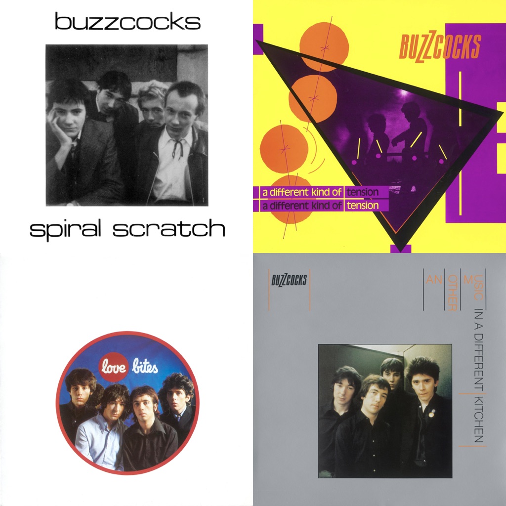 Buzzcocks: Next Steps