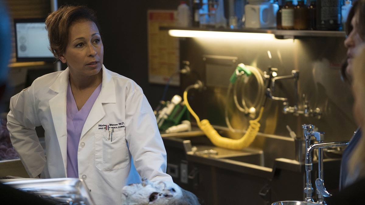 Criminal Pathology - Law & Order: Special Victims Unit (Series 17 ...