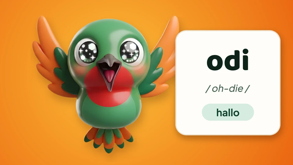 Switi Taki: leer Sranan Tongo App Store product page header