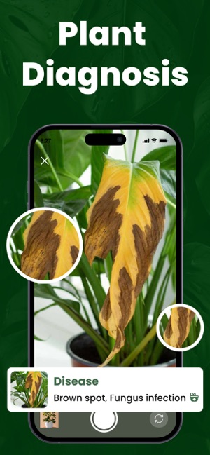 AI Plant Identifier: Garden screenshot 3