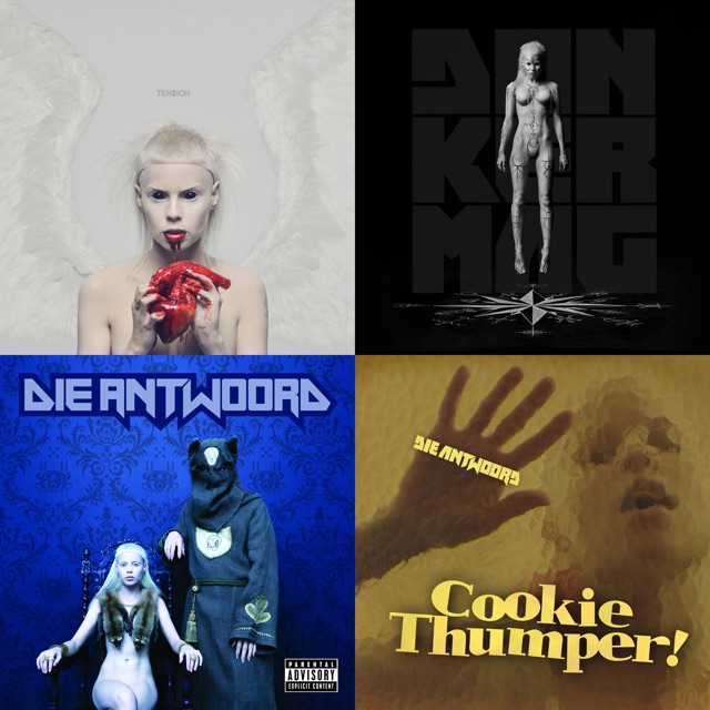 Die Antwoord: главное