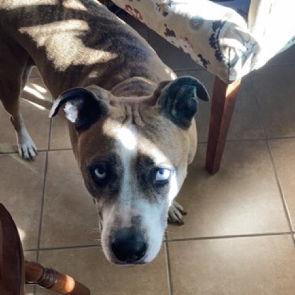 AppleMusic profile picture for @rtf