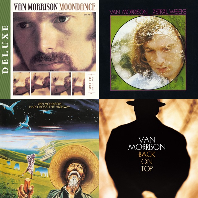 Van Morrison: Love Songs