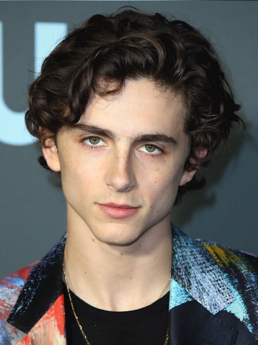 ‎Timothée Chalamet Films and Shows – Apple TV