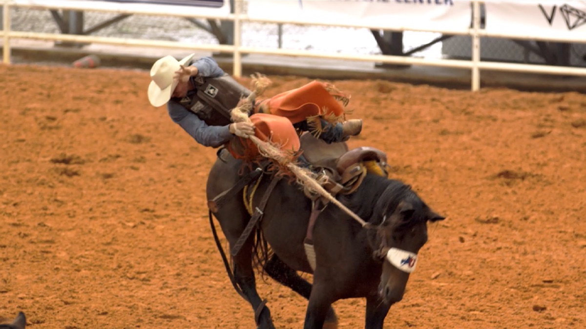 ‎State of Rodeo - Apple TV