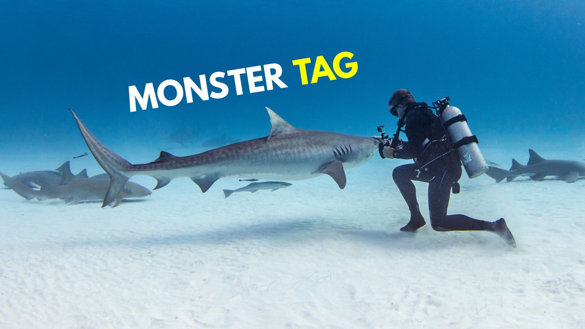 ‎Monster Tag - Apple TV