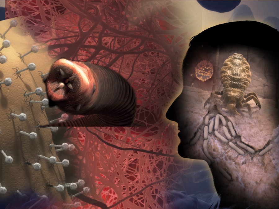 You Planet Biosphere Of The Body - Apple TV