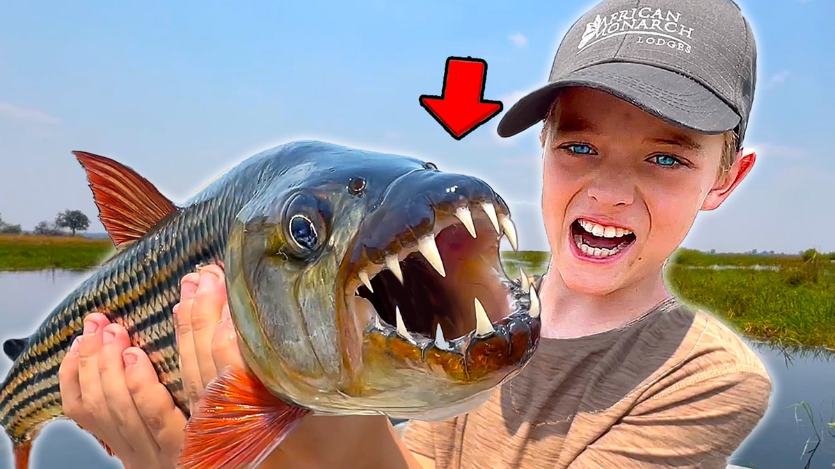 Catching Tiger Fish In Africa! - The River, Wilder & Archer Show ...