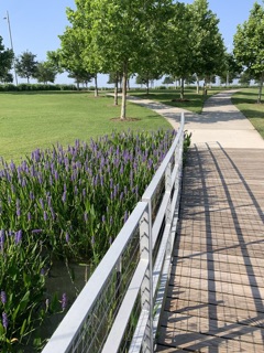 West Lake Park Photos