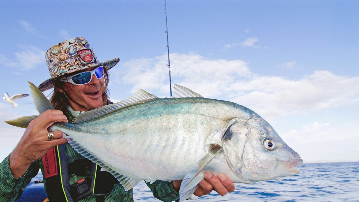 ‎The Twin Harbours - Big Angry Fish (Series 8, Episode 2) - Apple TV (UK)