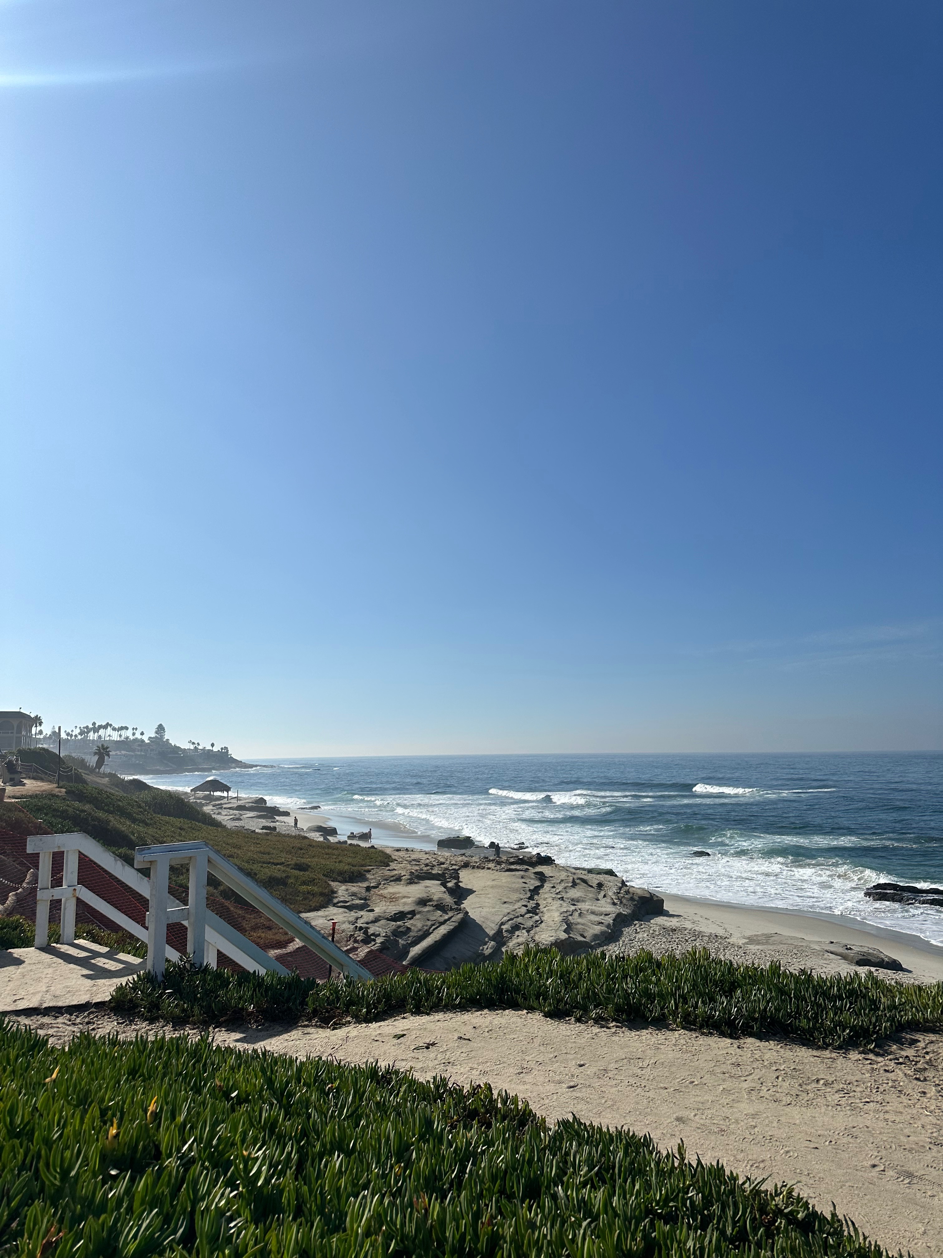Neptune Park