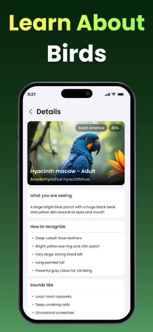 Bird Identifier: Call & Sound screenshot 3