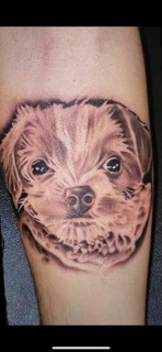 Living Canvas Tattooing & Body Piercing Studio photo 7