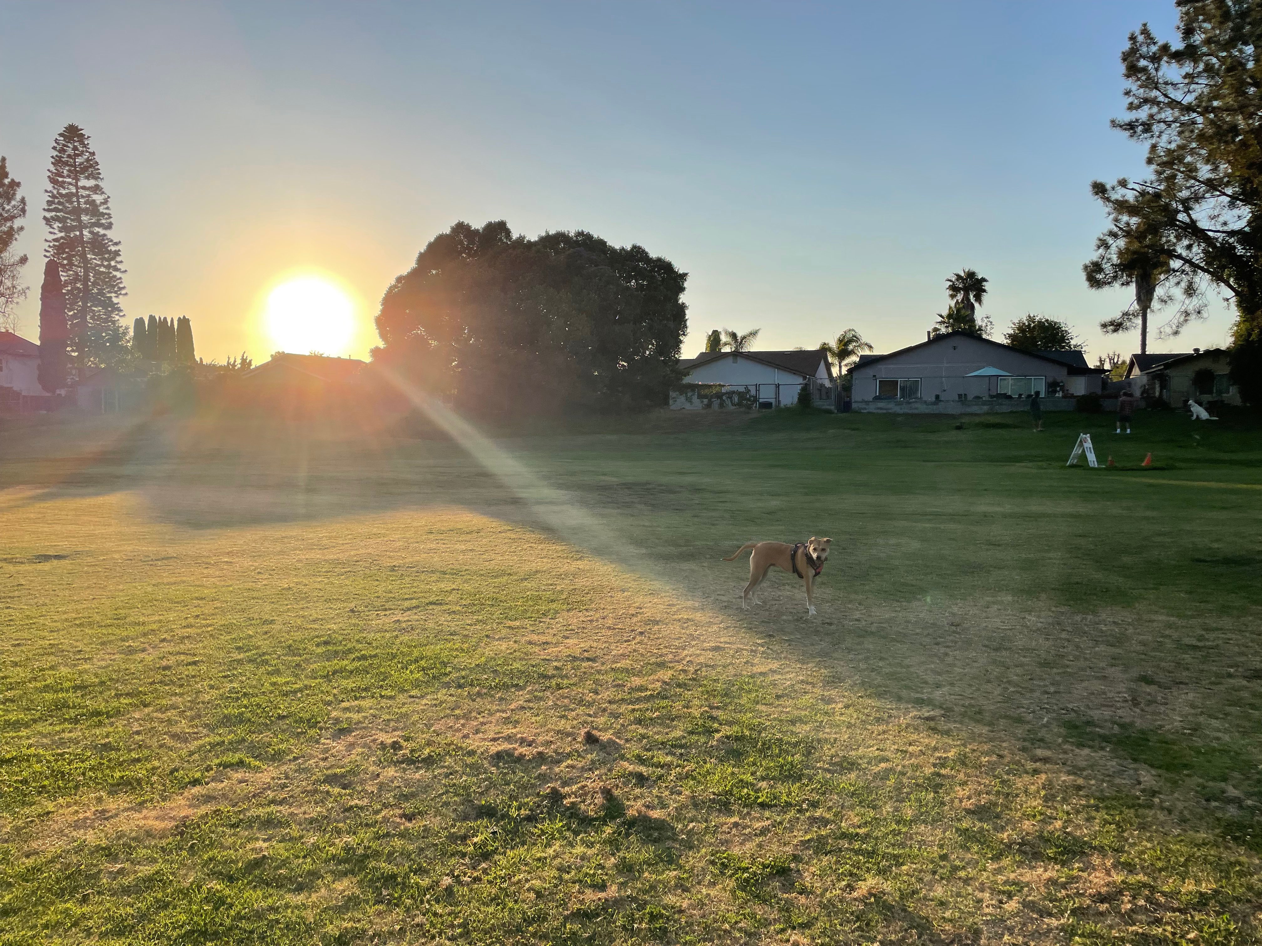 Winterwood Lane Community Park