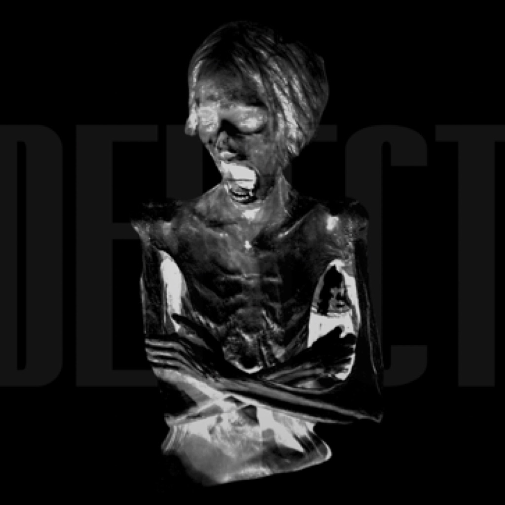 AppleMusic profile picture for @defect