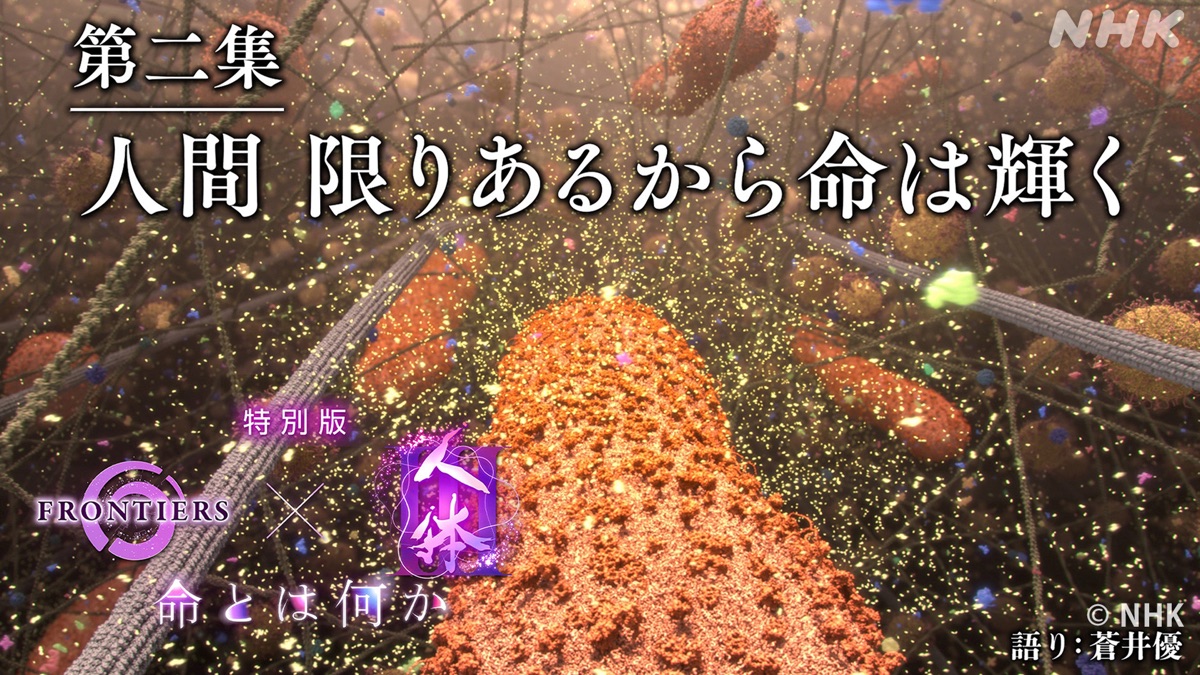 ‎人体 特別版 第二集 人間 限りあるから命は輝く・フロンティア（シーズン1、第45話） - Apple TV (日本)