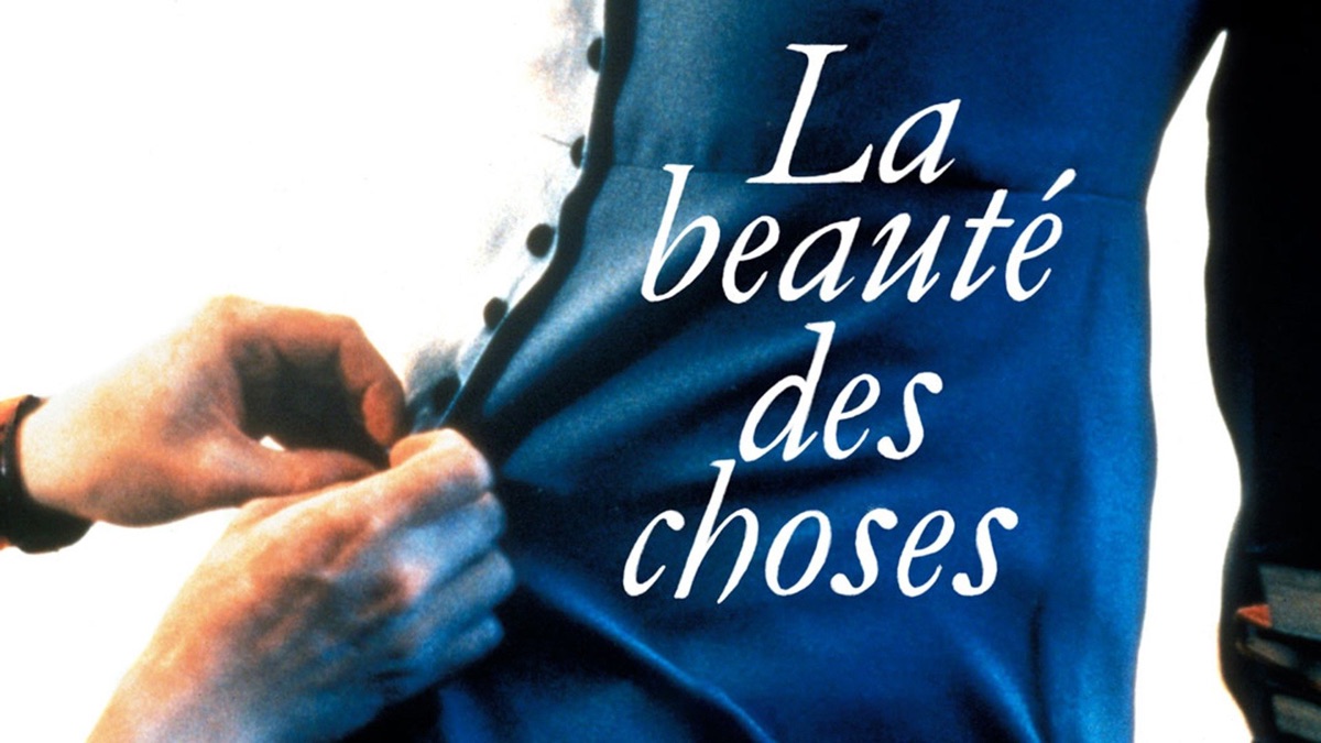 La Beauté Des Choses Streaming Gratuit