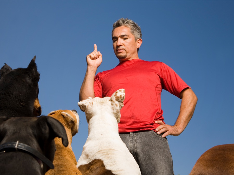 Dog Whisperer with Cesar Millan Apple TV (UK)