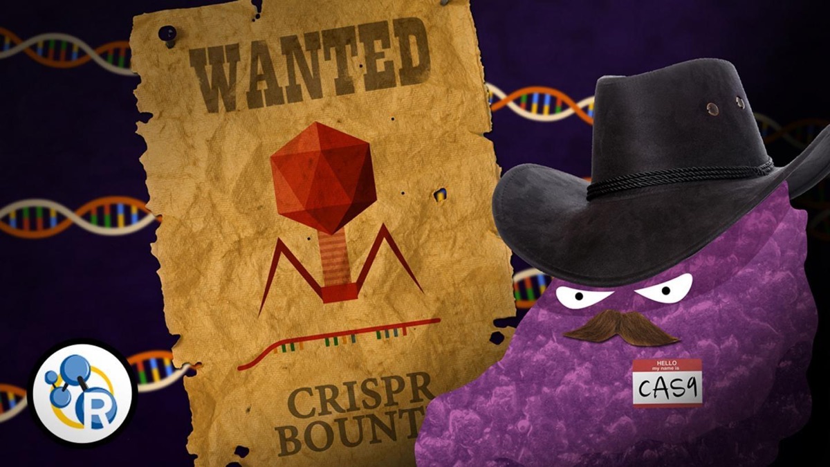 Genetically Modified Humans? CRISPR/Cas 9 Explained - Reactions (Season ...