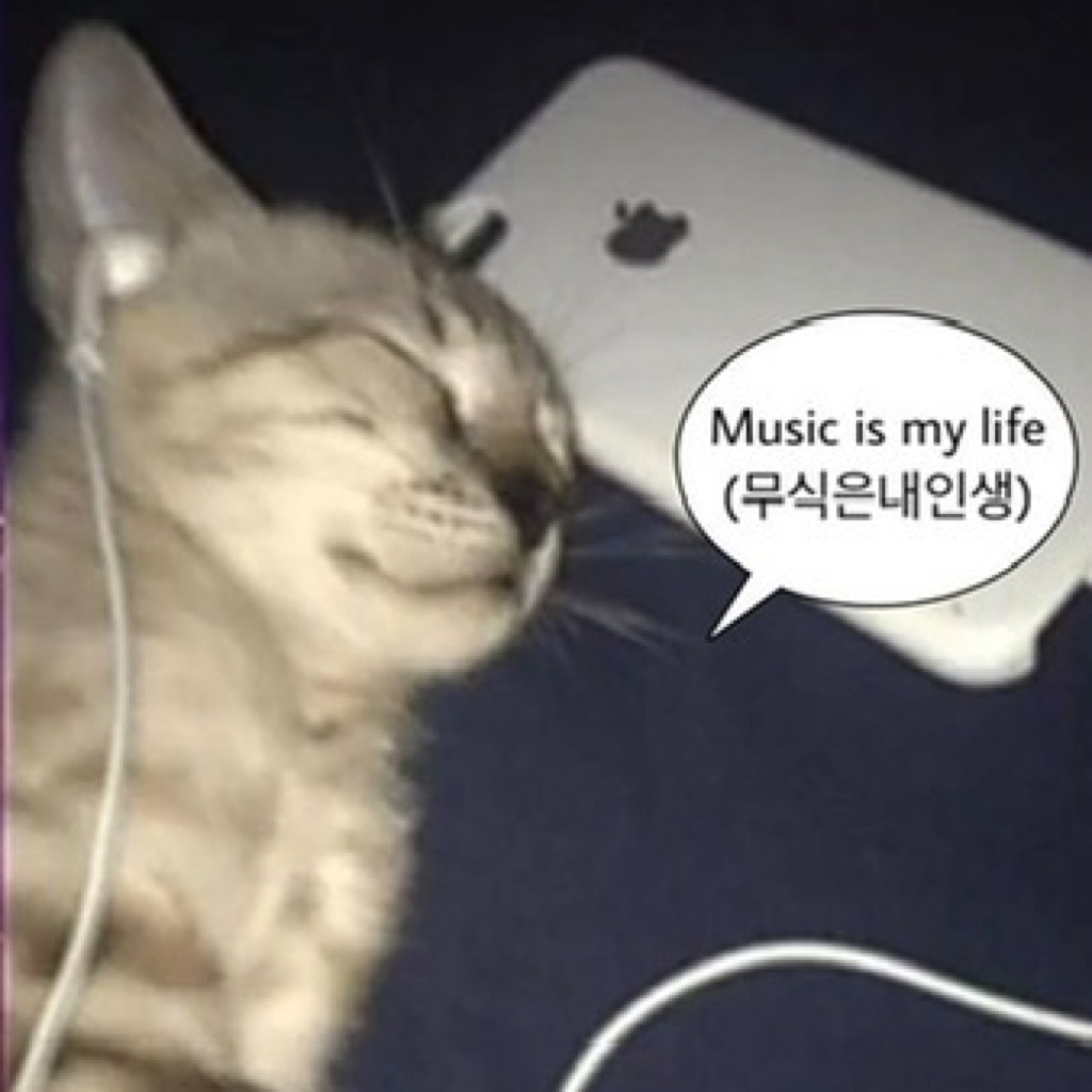 AppleMusic profile picture for @modification