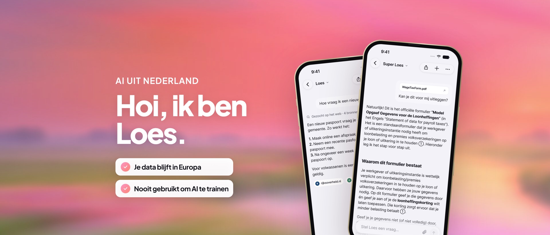 Loes: de Nederlandse AI chat product page header