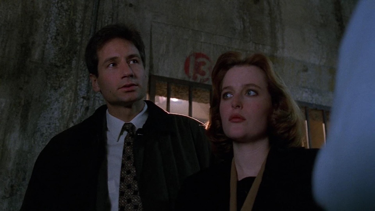 ‎Fearful Symmetry - The X-Files (Series 2, Episode 18) - Apple TV (QA)