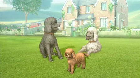 Pocket Paws: My lovely dogs iPhone screenshot 7