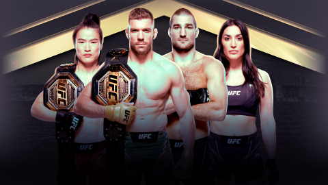 Read more about UFC 312: Two Title Fights