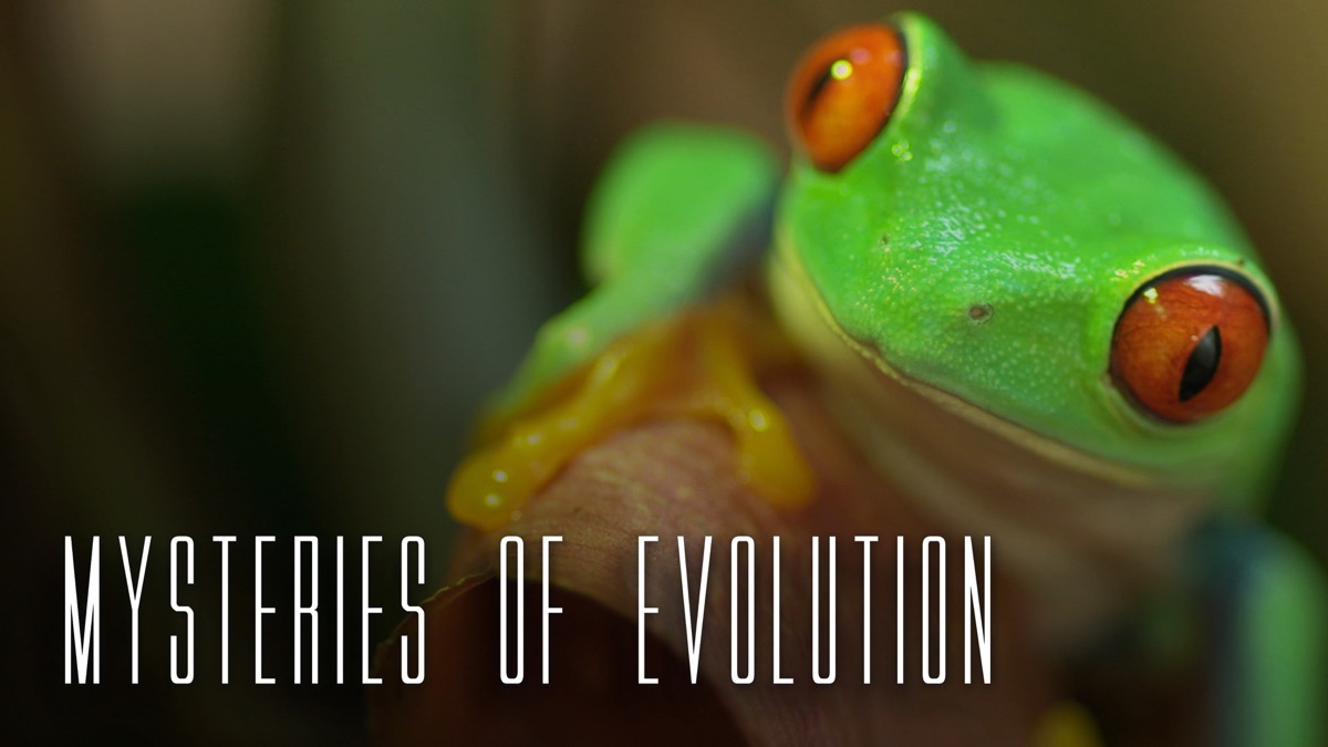 ‎Mysteries of Evolution - Apple TV
