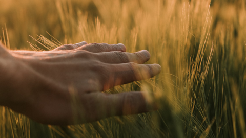 Read more about Nurturing Your Mental Health