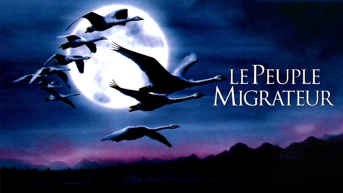 ‎Winged Migration - Apple TV