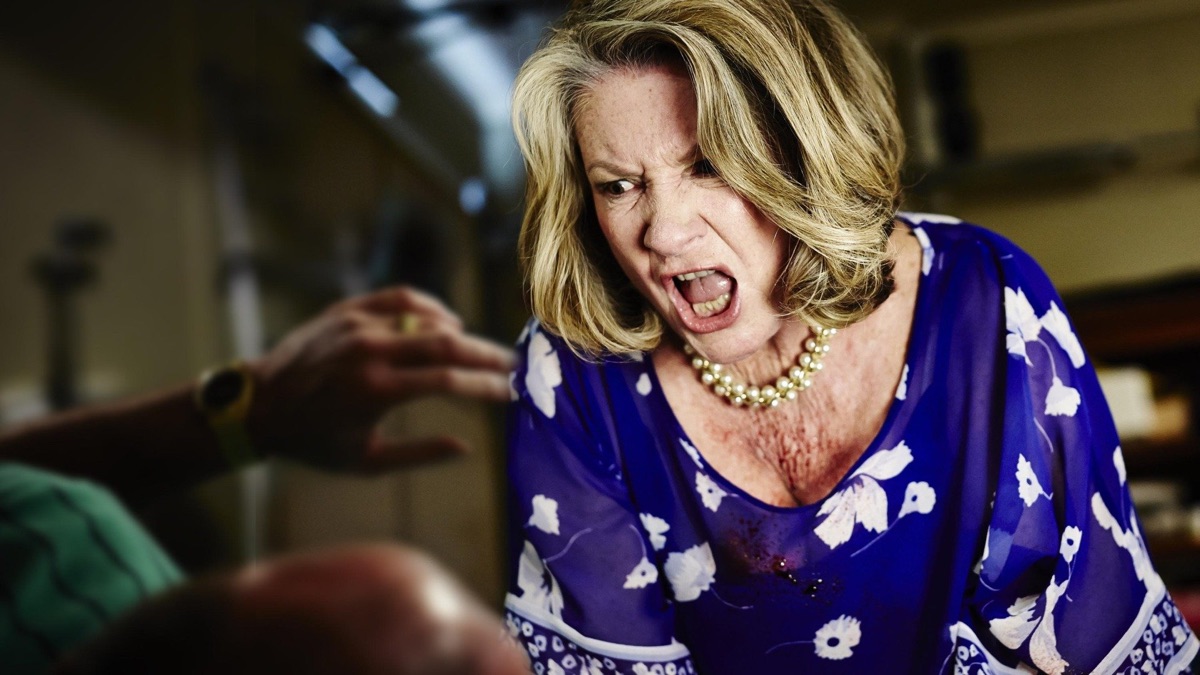 Stetson Magazine by Stetson University - Issuu, image size:1200x675