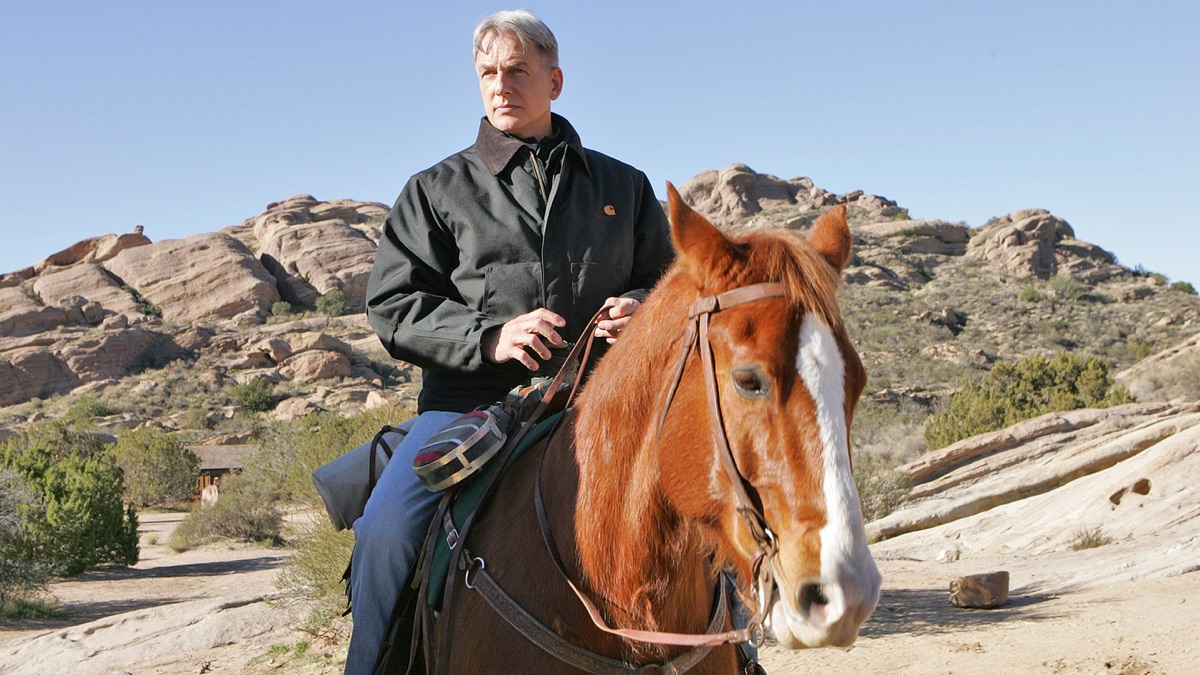 ‎South by Southwest - NCIS (Series 6, Episode 17) - Apple TV (UK)