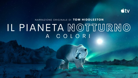 Il pianeta notturno a colori